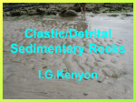 Clastic/Detrital Sedimentary Rocks