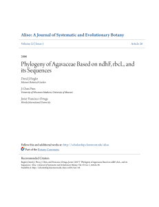 Phylogeny of Agavaceae Based on ndhF, rbcL, and its Sequences