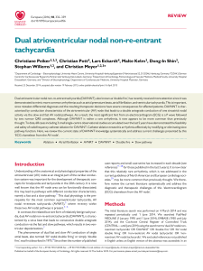 Dual atrioventricular nodal non-re