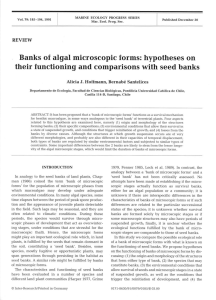 Banks of algal microscopic forms: hypotheses on