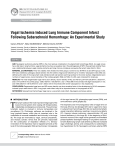 Vagal Ischemia Induced Lung Immune Component Infarct Following