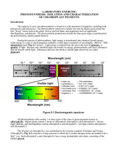 laboratory exercise: photosynthesis: isolation and characterization of