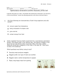 Spontaneous Generation and the Discovery of the Cell