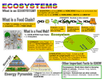 An ECOSYSTEM is all the LIVING and NONLIVING things in an