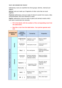 WHAT ARE SEDIMENTARY ROCKS? Sedimentary rocks are