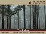 Tree Biology