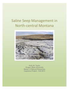 Saline Seep Management in North