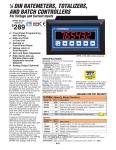 Analog Input Ratemeter/Totalizer