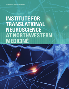 institute for translational neuroscience at northwestern medicine