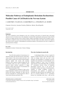 Molecular Pathways of Endoplasmic Reticulum