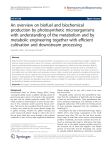 An overview on biofuel and biochemical production by