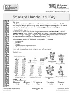 Student Handout 1 Key - 3D Molecular Designs