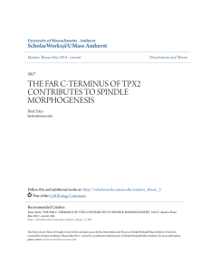 the far c-terminus of tpx2 contributes to spindle morphogenesis