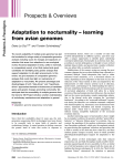 Adaptation to nocturnality - learning from avian genomes