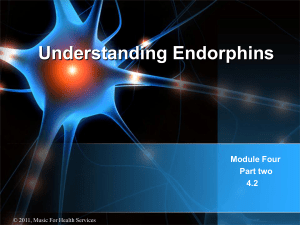 Understanding Endorphins