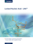 Locked Nucleic Acid - LNA™