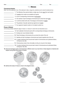 Cell Cycle - studyres.com