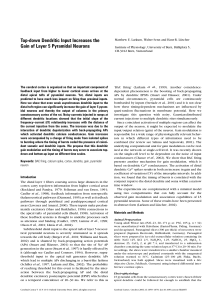 Top-down Dendritic Input Increases the Gain of