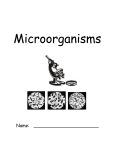 Microorganisms - davis.k12.ut.us