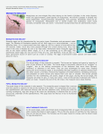 mosquito biology - Mosquito Information Website presented by UF