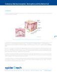 Cutaneous Mechanoreception, Nociception and the Merkel