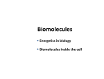 Slide2:Biomolecules