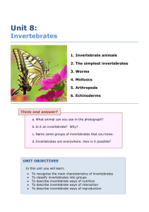 Unit 8: Invertebrates