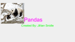 Pandas - Neoga CUSD 3