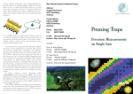 Penning Traps: Precision Measurements on Single Ions