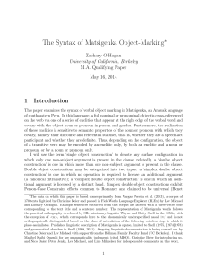 The Syntax of Matsigenka Object-Marking
