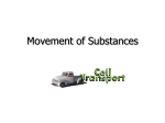 Movement of Substances