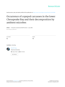 Occurrence of copepod carcasses in the lower