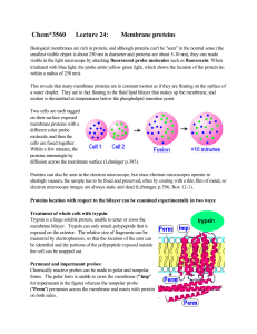 Chem*3560 Lecture 24: Membrane proteins