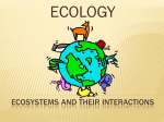 Ecosystems Notes