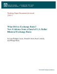What Drives Exchange Rates? New Evidence from a Panel of U.S.