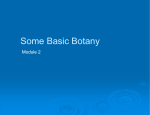 Xeriscape Education Module 2 Basic Botany PDF