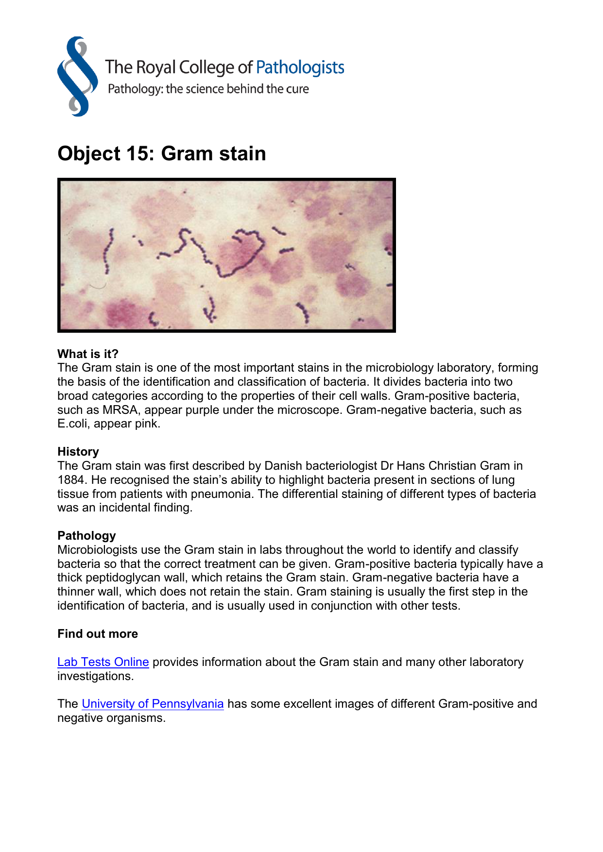 Object 15 Gram Stain
