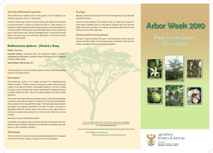 Arbor Week 2010
