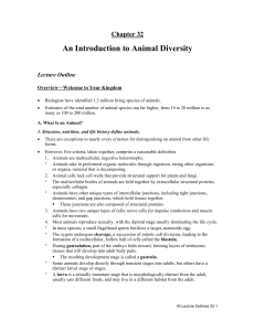 Chapter 32 An Introduction to Animal Diversity