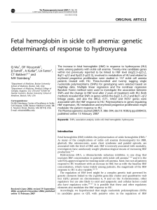 Fetal hemoglobin in sickle cell anemia: genetic