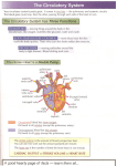 The Circulatory System has Three Functions good