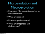 •How does Microevolution add up to macroevolution? •What are