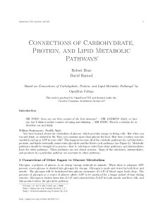 Connections of Carbohydrate, Protein, and Lipid