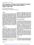 The Ultrastructure of Sarcoma I Cells and