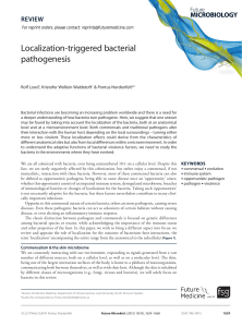 Localization-triggered bacterial pathogenesis