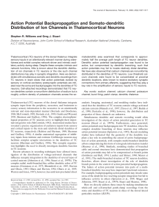 Action Potential Backpropagation and Somato