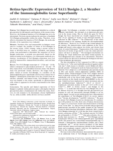 Retina-Specific Expression of 5A11/Basigin-2, a