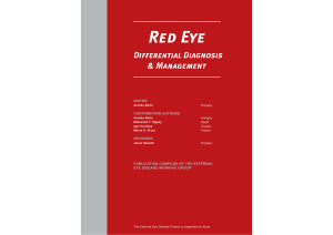 ¥ Red Eye A4 brochure12.7.07-B