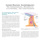 Miller LKI LECC  - McGraw Hill Higher Education