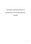 Tyramine modulates electrical properties of Drosophila olfactory